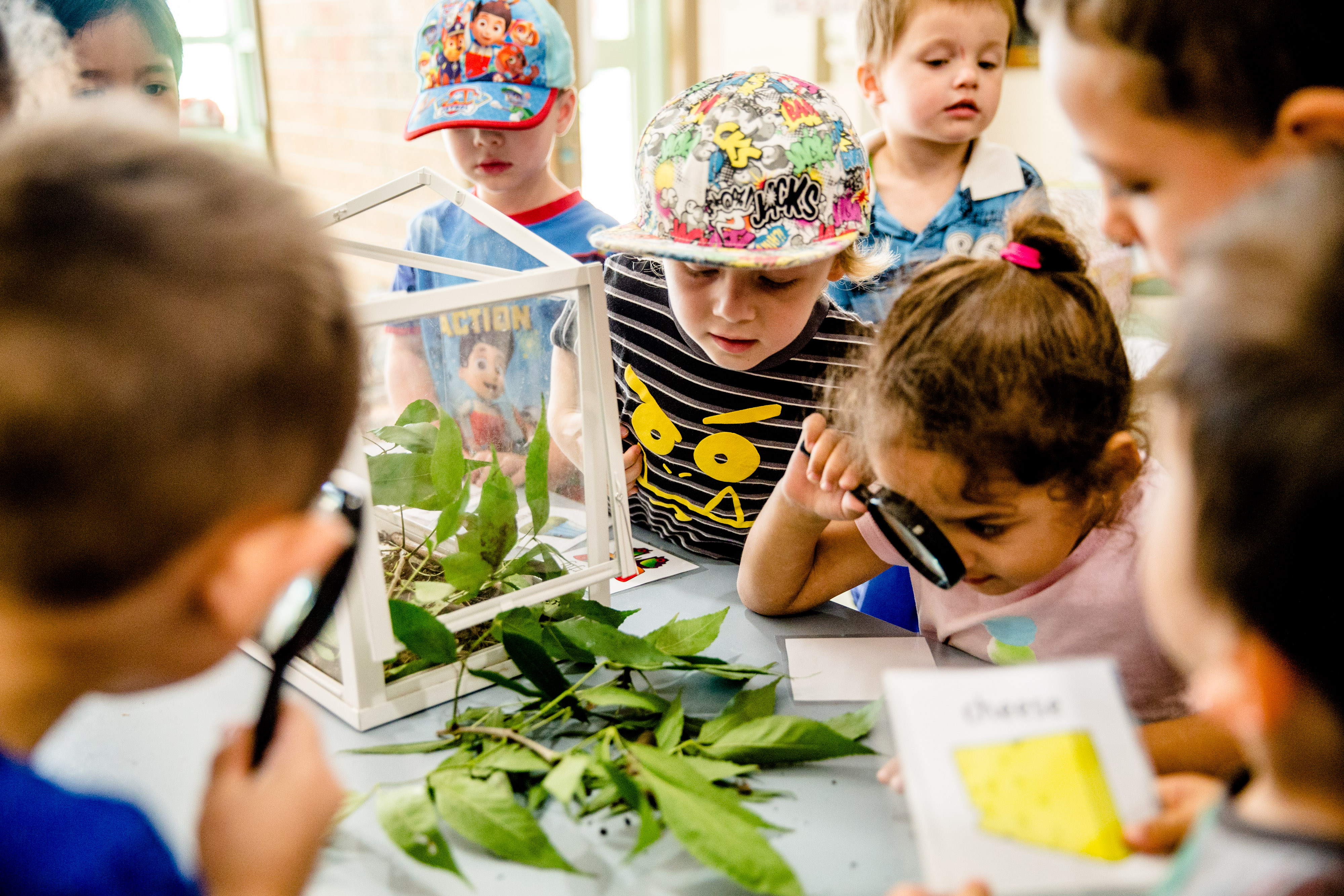 Children First Plumpton Long Day Care